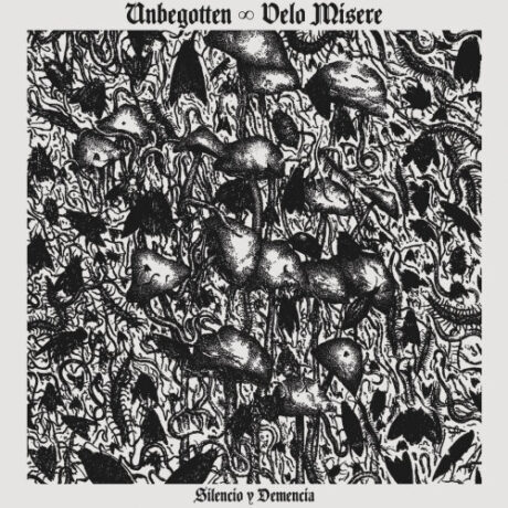UNBEGOTTEN / VELO MISERE - Silencio Y Demencia
