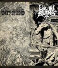 LIE IN RUINS / STRYCHNOS - Paralyzing Visions / Theodicy of the Seven Mile Scythe