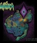 WHARFLURCH - Mycodeath and Rebirth in the Outer Clusters
