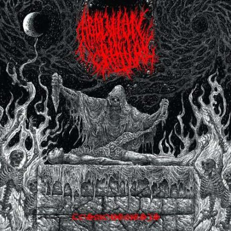 ABOLITION RITUAL - Cosmonemesis