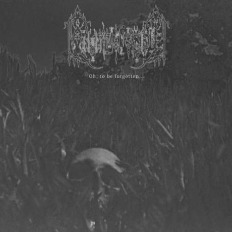 ANNONYMOUS SKULL – Oh, to be forgotten