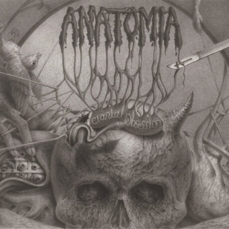 ANATOMIA - Cranial Obsession
