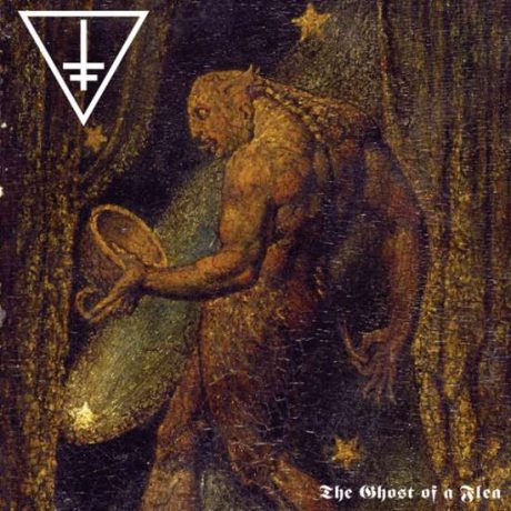 DROWNING THE LIGHT - The Ghost of a Flea