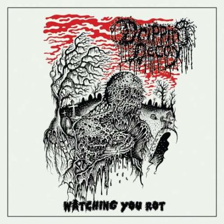 DRIPPING DECAY - Watching You Rot