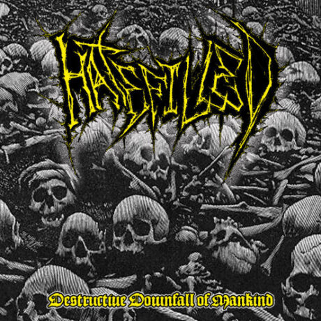 HATEFILLED - Destructive Downfall