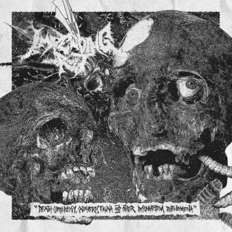 IMPENDING ROT - Death Chronology, Cadaveric Fauna and Other Postmortem Phenomena