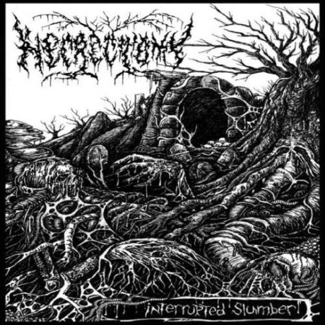 NECRECTOMY - Interrupted Slumber