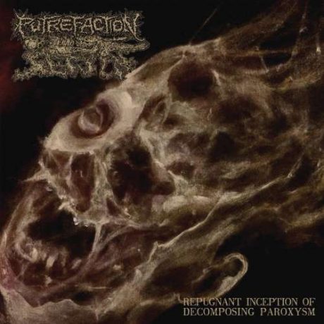 PUTREFACTION SETS IN - Repugnant Inception of Decomposing Paroxysm