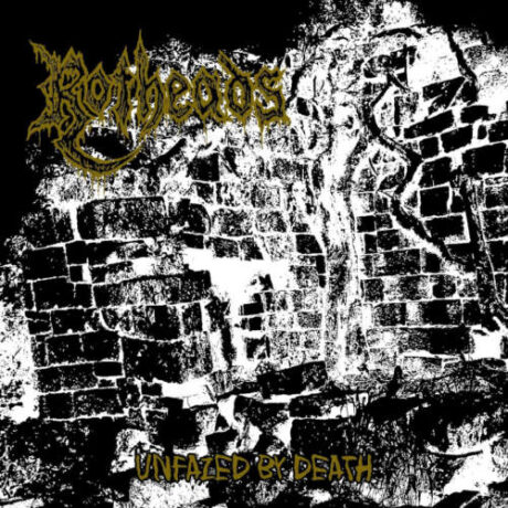 ROTHEADS - Unfazed by Death