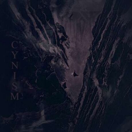 RAWRORR - Cynism
