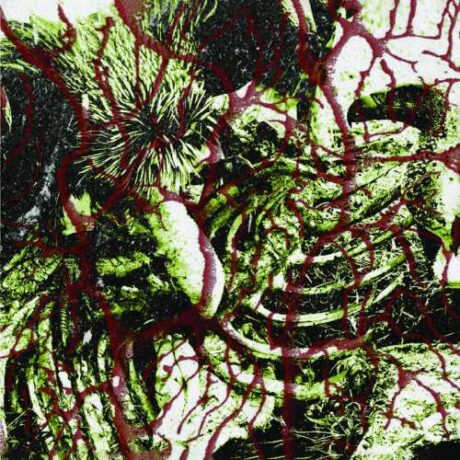 TORTURERS' LOBBY - Deadened Nerves