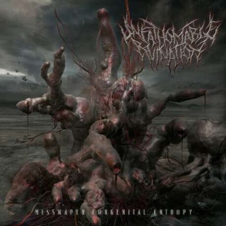 UNFATHOMABLE RUINATION - Misshapen Congenital Entropy