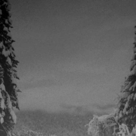 VINTLECHKEIT - Mektige trinn... / Frostige tåken...