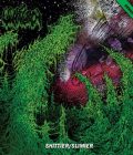 WHARFLURCH - Shittier / Slimier