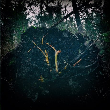 AUKELS - Raynkaym