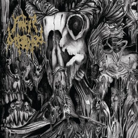 FATHER BEFOULED – Revulsion of Seraphic Grace