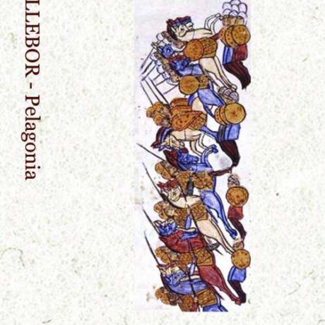 HELLEBOR - Pelagonia