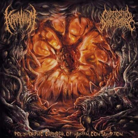 KRAANIUM / EXISTENTIAL DISSIPATION - Polymorphic Chamber of Human Consumption