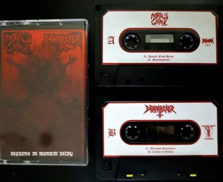 MORBUS GRAVE / DEATHFUCKER - Defilers in Morbid Decay