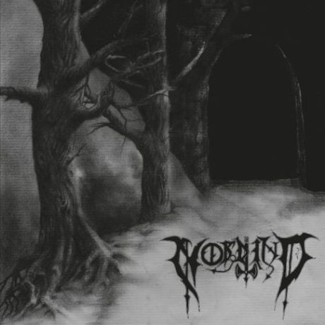 NORDWIND - Walk to the Woods / Nordwind