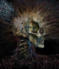 NOXIS - Violence Inherent in the System
