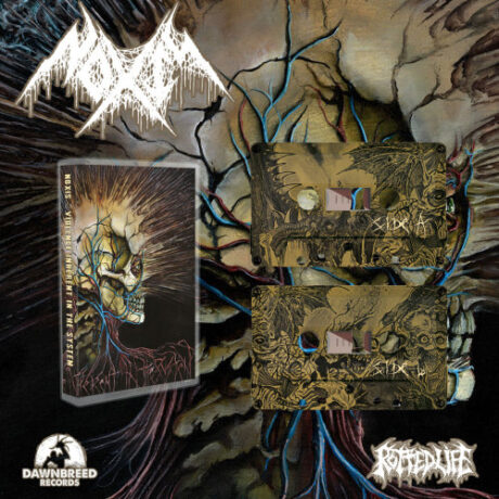 NOXIS - Violence Inherent in the System