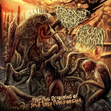 PERVERSITY DENIED / FATUOUS RUMP - Perpetual Devouring of Splattered Putrid Organs