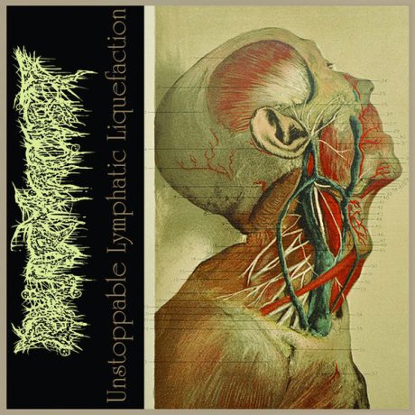 PHARMACIST / EXPURGO - Unstoppable Lymphatic Liquefaction / Entropic Breath