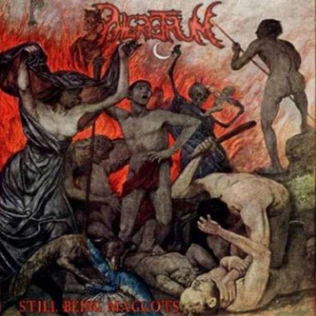 PHERETRUM - Still beigns Maggots