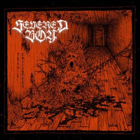 SEVERED BOY – Tragic Encounters