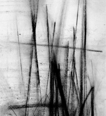 TROTH - Darkened Light in World of Pale Convictions