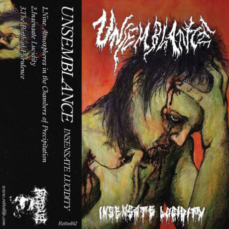 UNSEMBLANCE - Insensate Lucidity