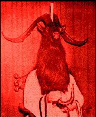 VUCUB CAME - Goat mit uns