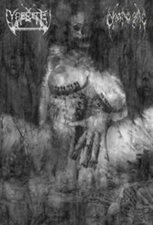 YPERITE / CHAROGNE - s/t